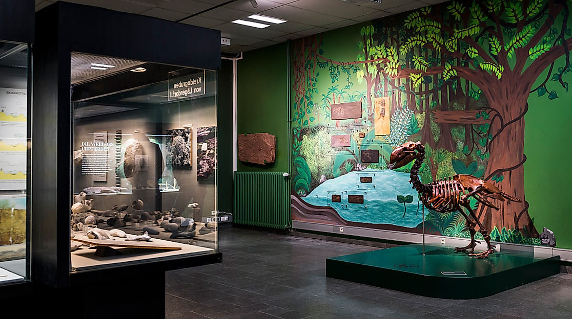 museum-der-natur-paula-markert-1-web-2500x1500