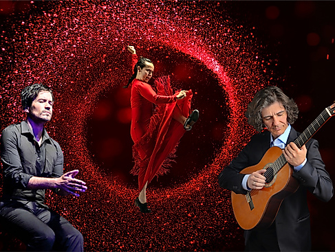08 Flamenco IMX (c) marko jovanovic_Fidel Meneses_dancephotographfilm_BRump