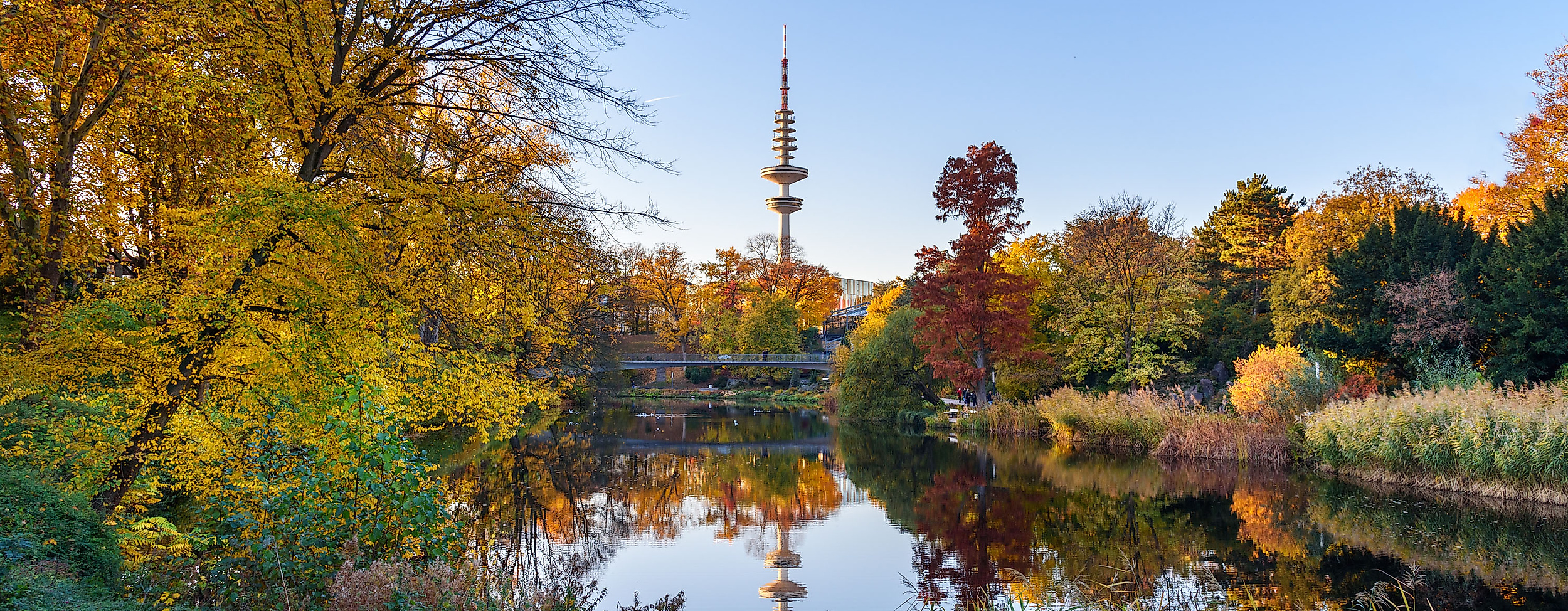 Herbstliche Parklandschaft in Planten un Blomen mit Teich und Blick auf den Fernsehturm Hamburg.