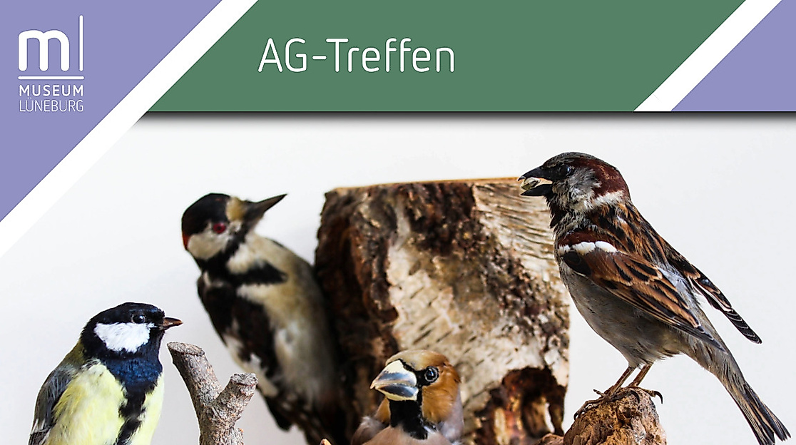Treffen AG Vogelkunde