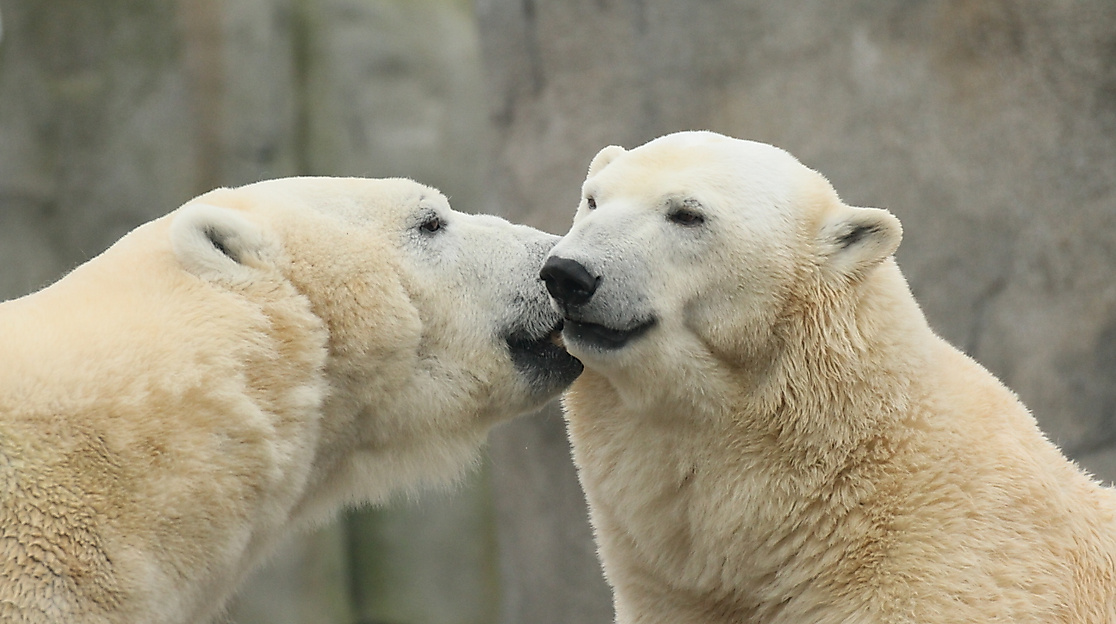 Tierpark Hagenbeck