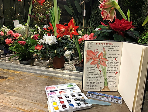 Nature Journaling
