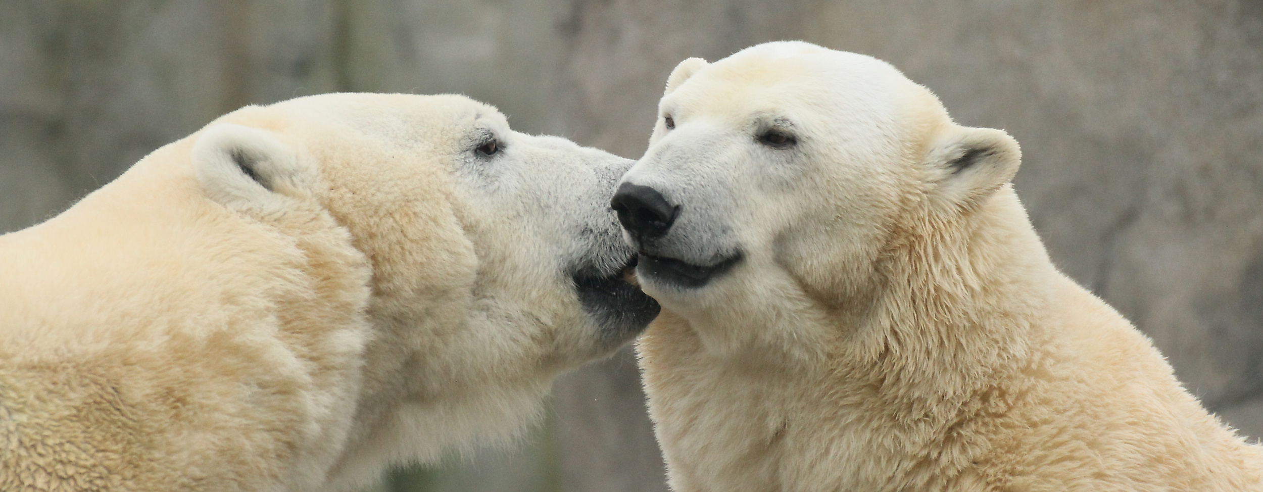 Tierpark Hagenbeck