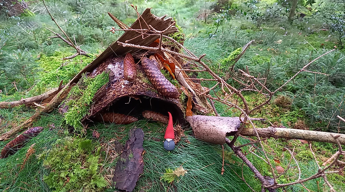 Abenteuer Natur