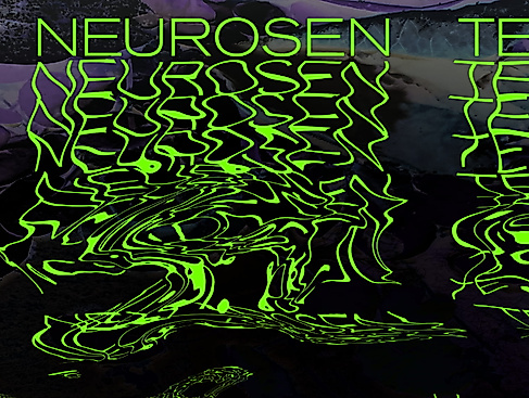 IM NEUROSENTEICH