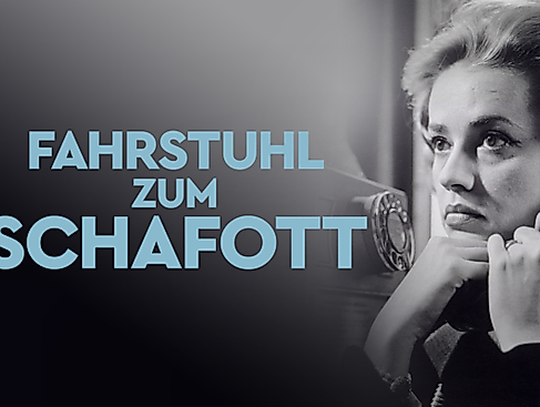 Flexibles Flimmern: Fahrstuhl zum Schafott