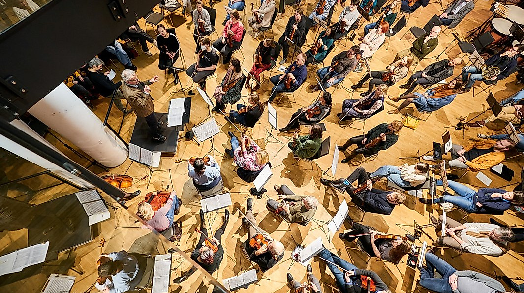 Insight Orchestra