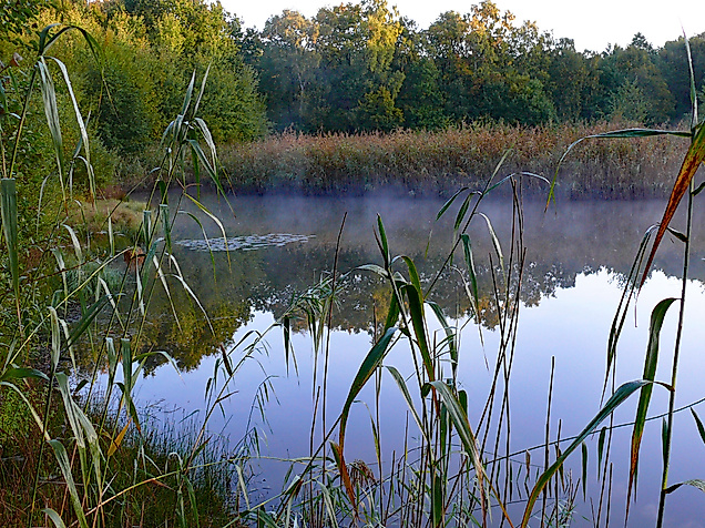 nsg-rothsteinmoor3-web-2500x1500