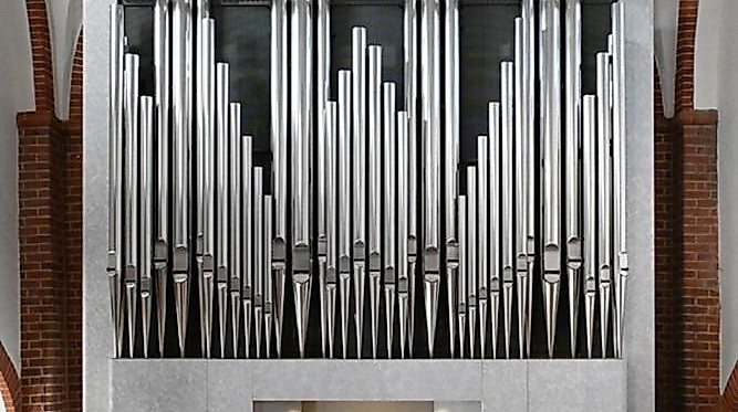 Organ