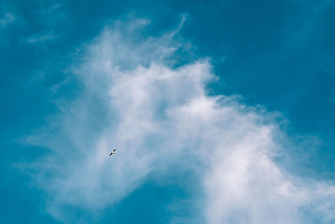 Weiße, federartige Wolke vor blauem Himmel als stimmungsvolle Hintergrundaufnahme.