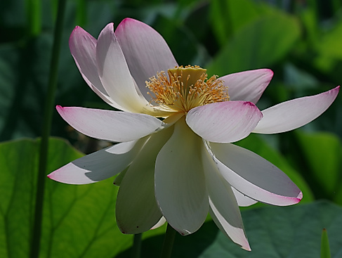 IMGP0293