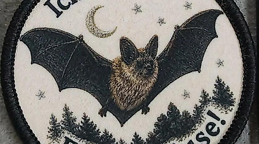 Kinder-Fledermaus-Führerschein