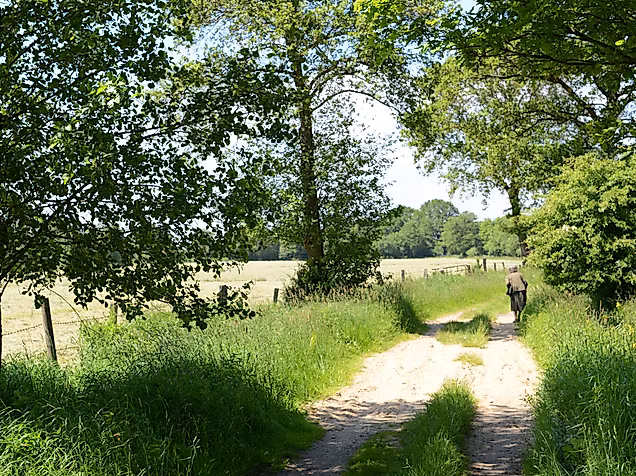 NSG Stapelfelder Moor