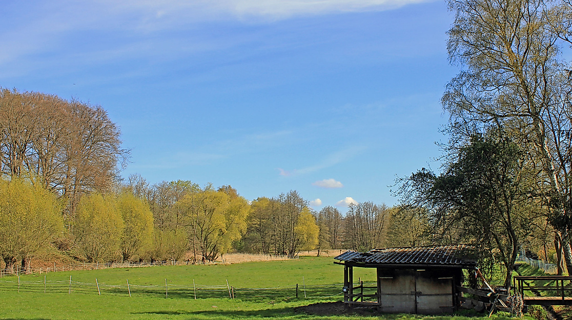 poi-nsg-heimfelder-holz-udo-kruse-stock-adobe-430352991-web-2500x1500