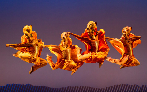 Szenenbild Musical König der Löwen: Vier Löwen die synchron tanzen. 