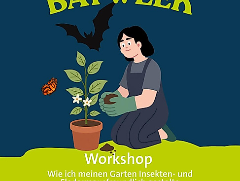 Batweek_Bat Conservation Campaign
