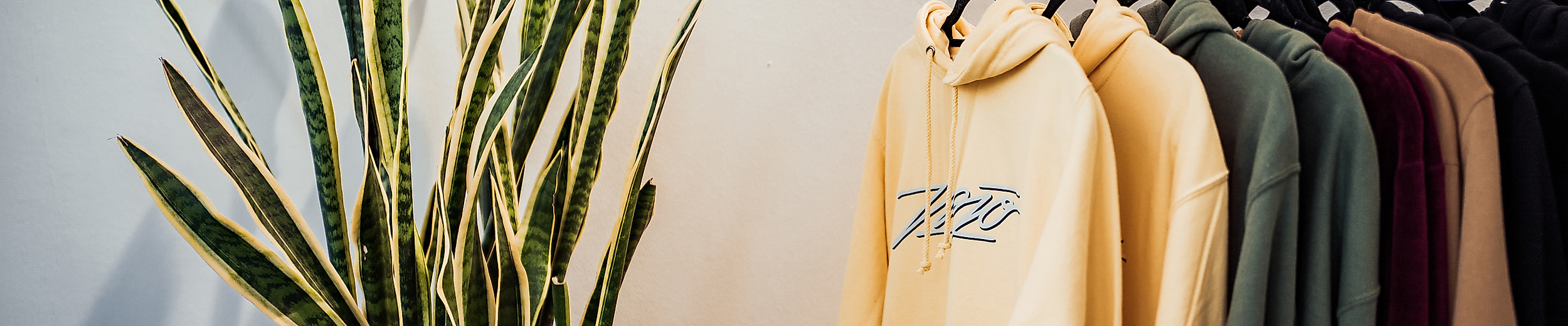 Streetwear in Naturtönen an Kleiderstange mit Zimmerpflanze im Mojo Store im Hamburger Schanzenviertel