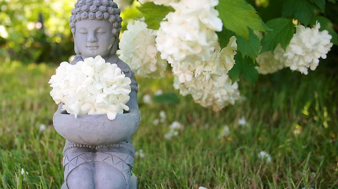 buddha-753016