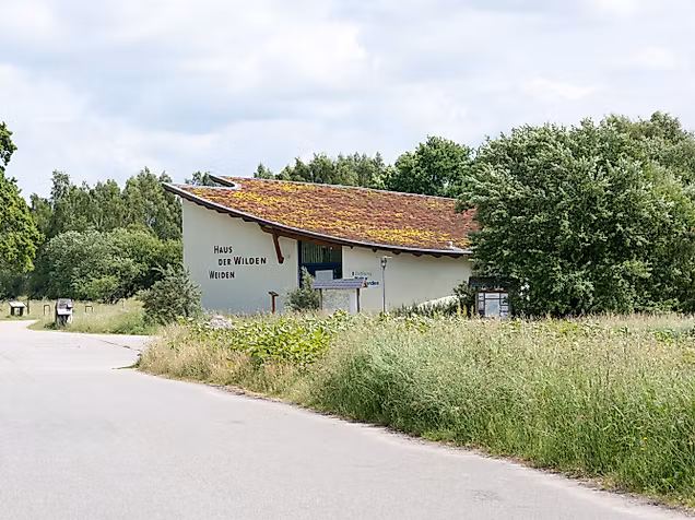 haus-der-wilden-weiden_c-johannes-beschoner-1