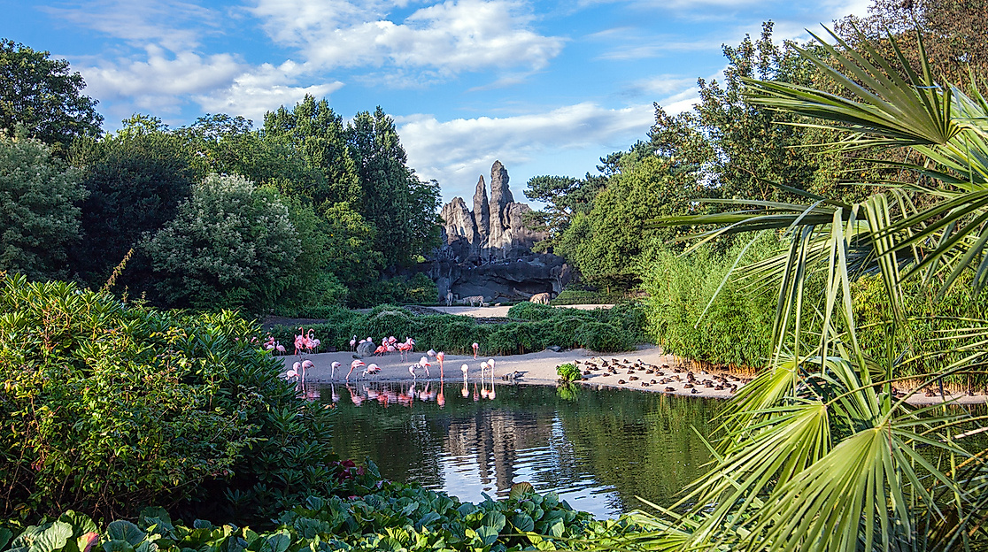 Tierpark Hagenbeck