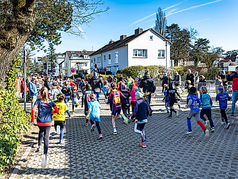 Baltic Sea Run