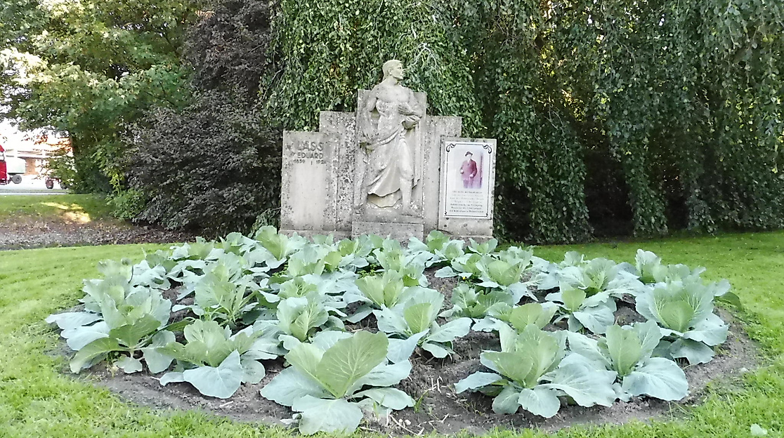 Kohlmarkt  Wesselburen zu den 40. Dithmarscher Kohltagen