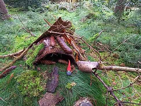 Abenteuer Natur