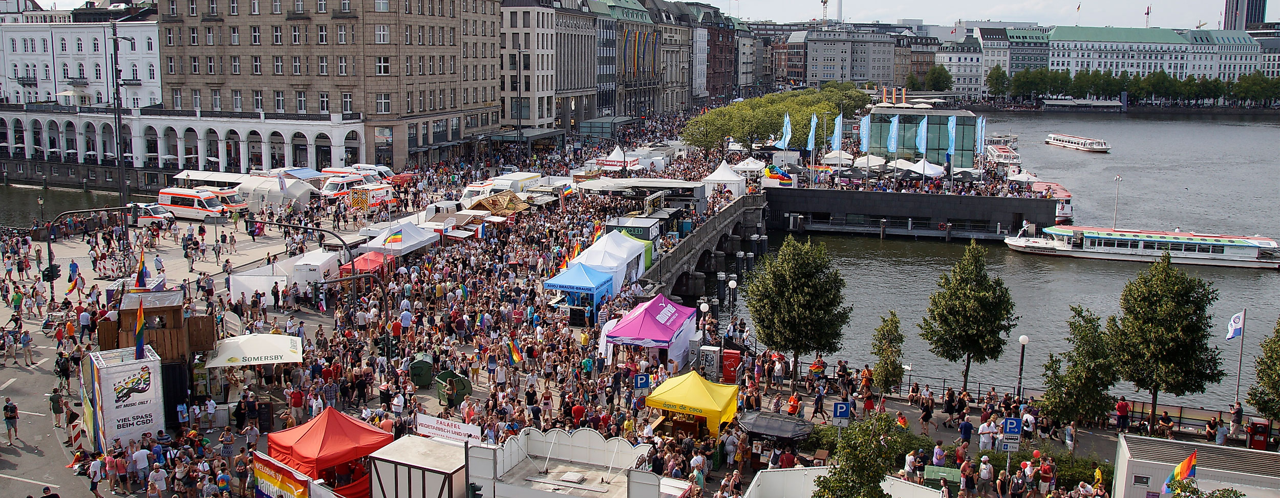 Bird's eye view CSD