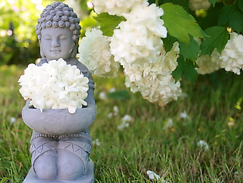 buddha-753016