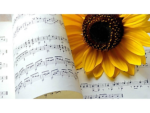 Summer concert