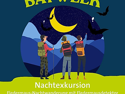 Batweek_Night Hike