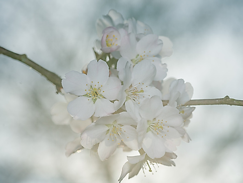 IMGP3566
