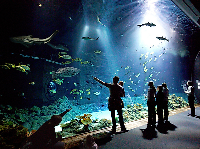 Tropen-Aquarium Hagenbeck